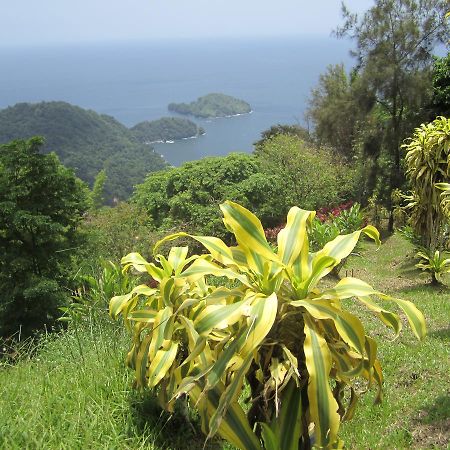 Hotel Mahogany Ridge Arouca Exteriér fotografie