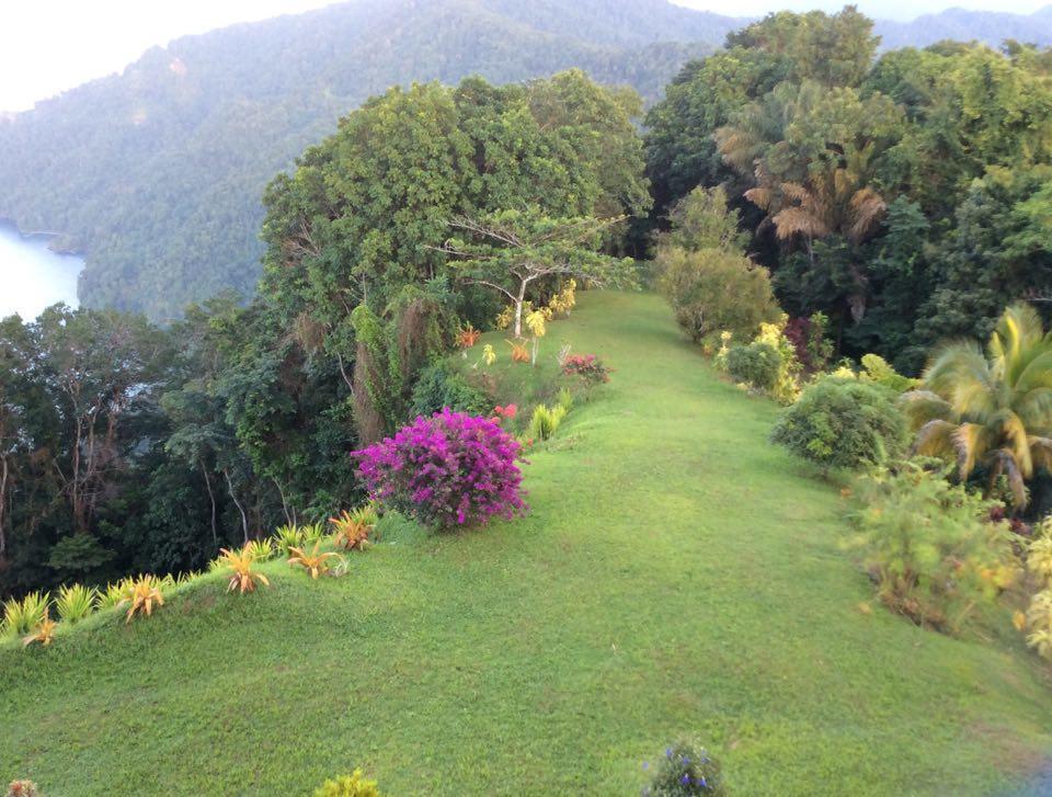 Hotel Mahogany Ridge Arouca Exteriér fotografie